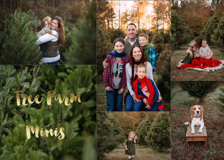 Hampton Roads Holiday Photos